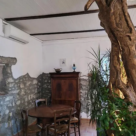 Maisonnette Avec Terrasse Sur Le Gardon